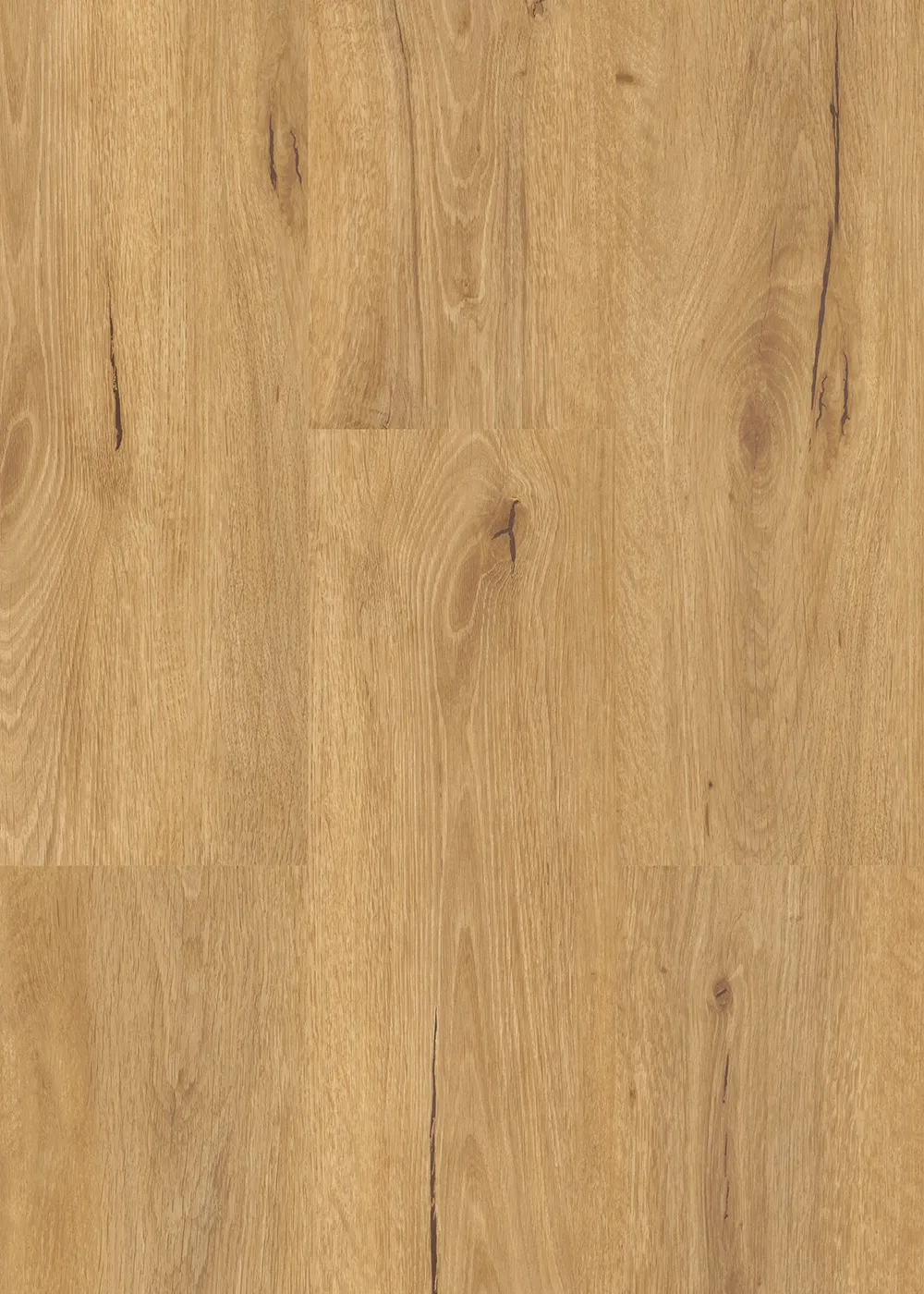 Oak Personality - Image 2