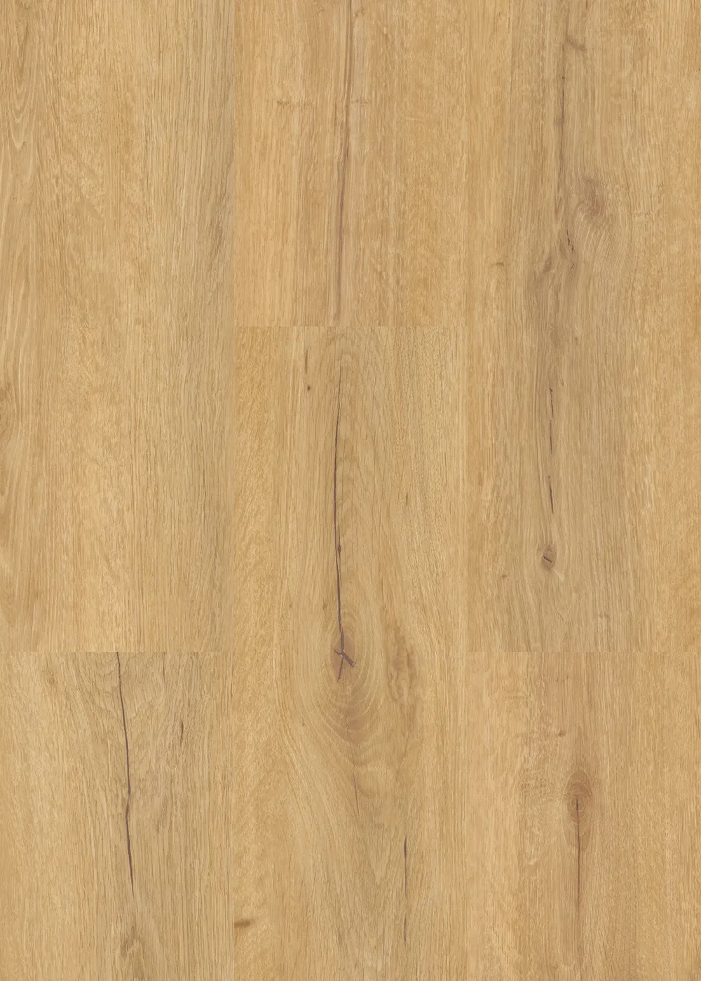 Oak Personality - Image 2