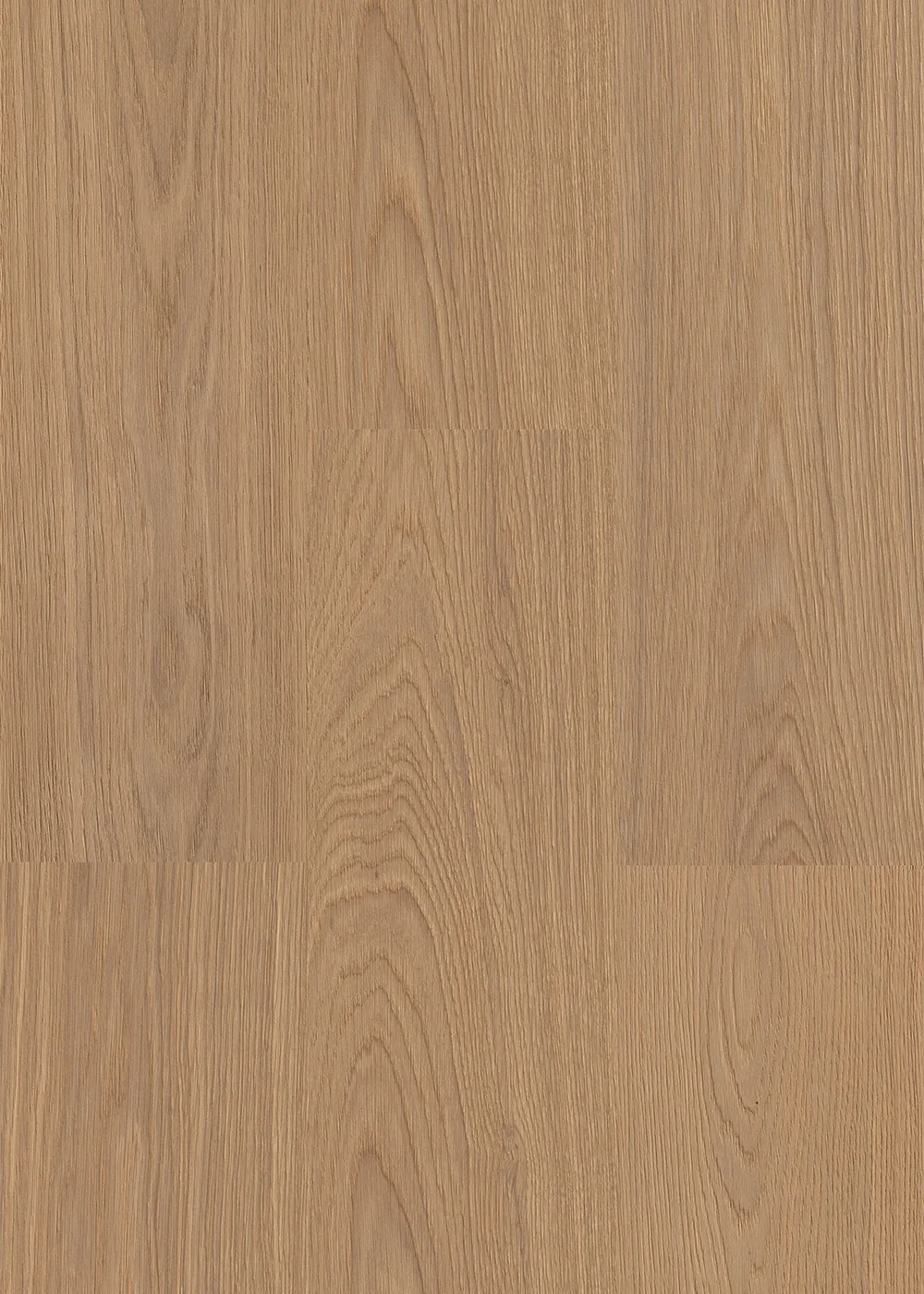Oak Nature - Image 2