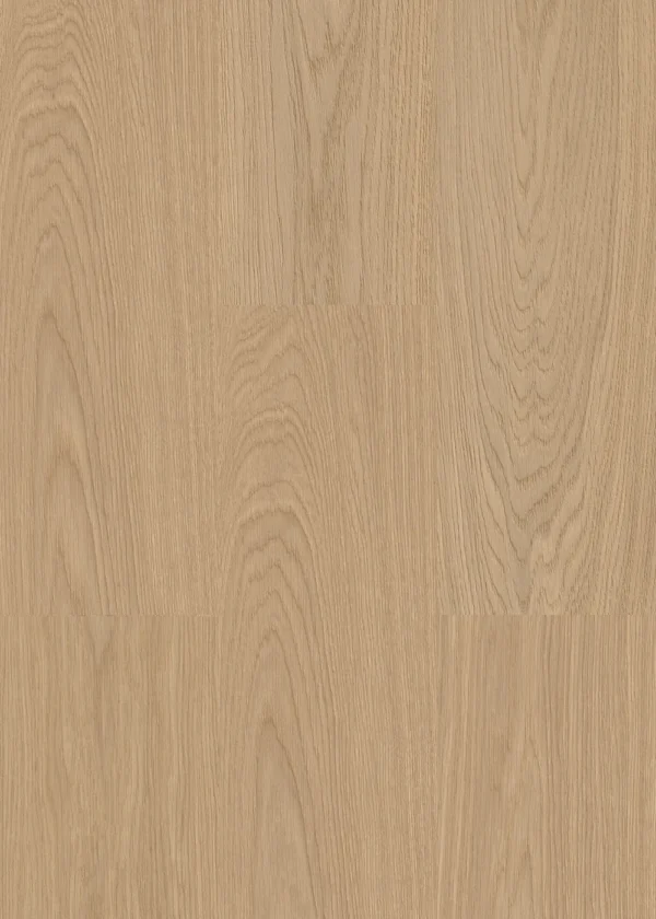 Oak Nature
