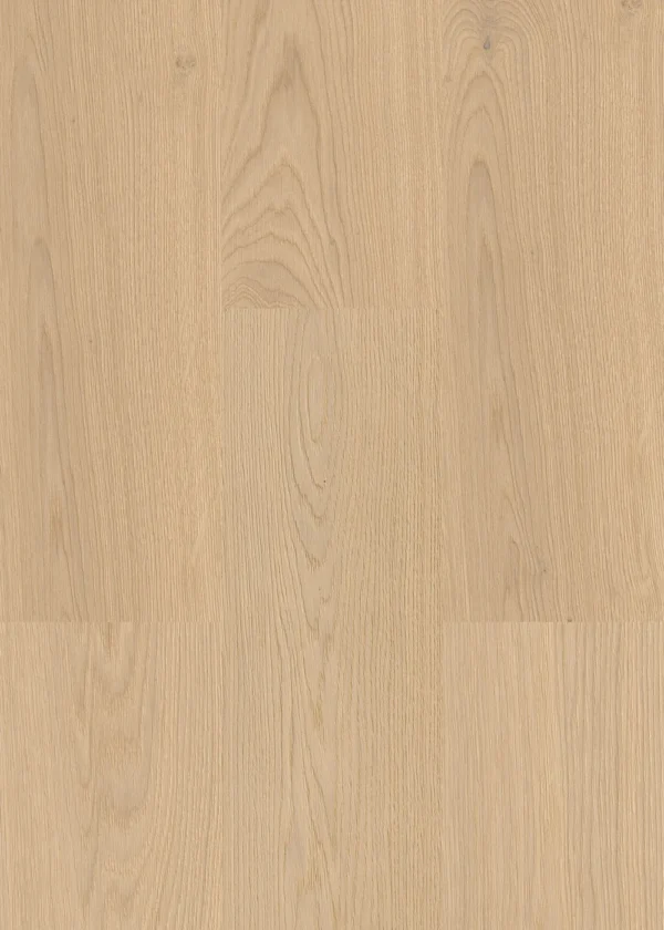 Oak Nature