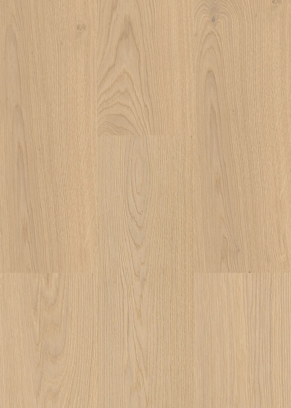 Oak Original - Image 2