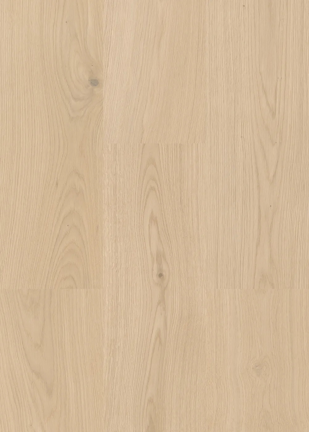 Oak Original - Image 2