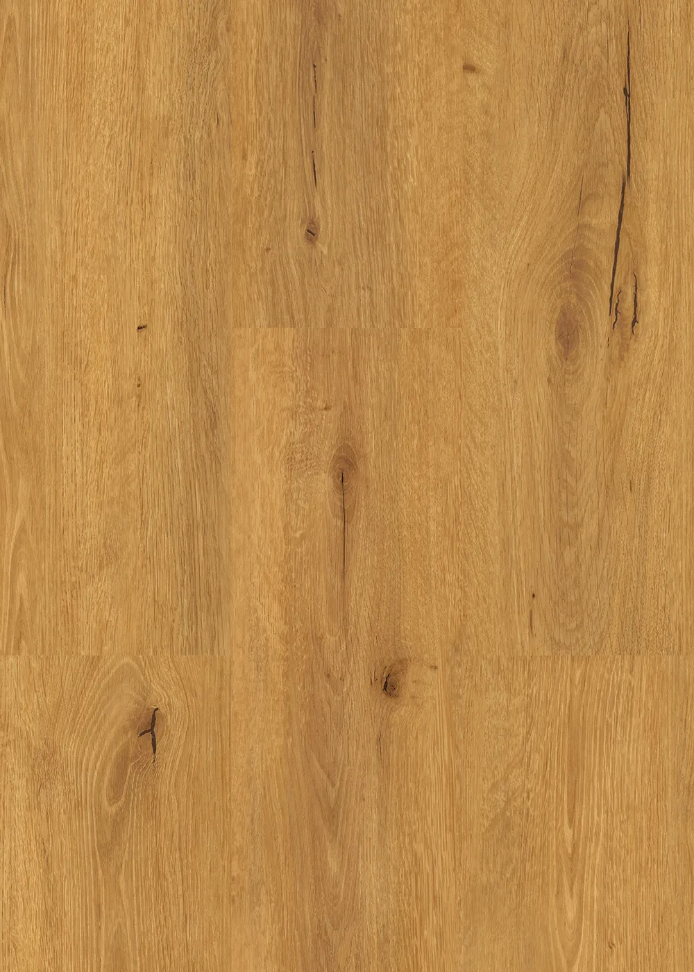 Oak Personality - Image 2