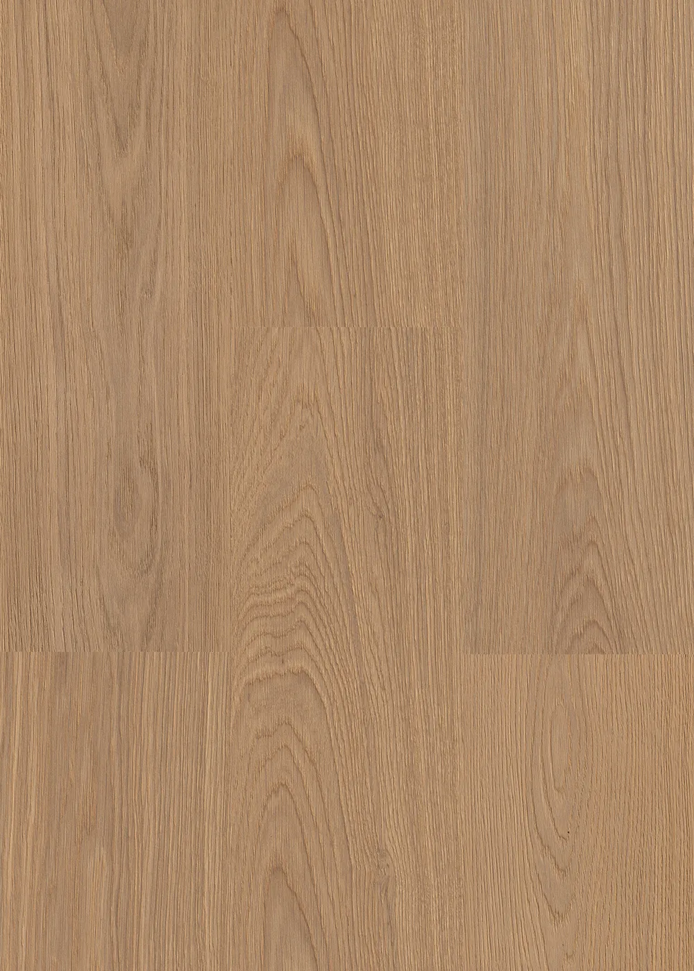 Oak Original - Image 2