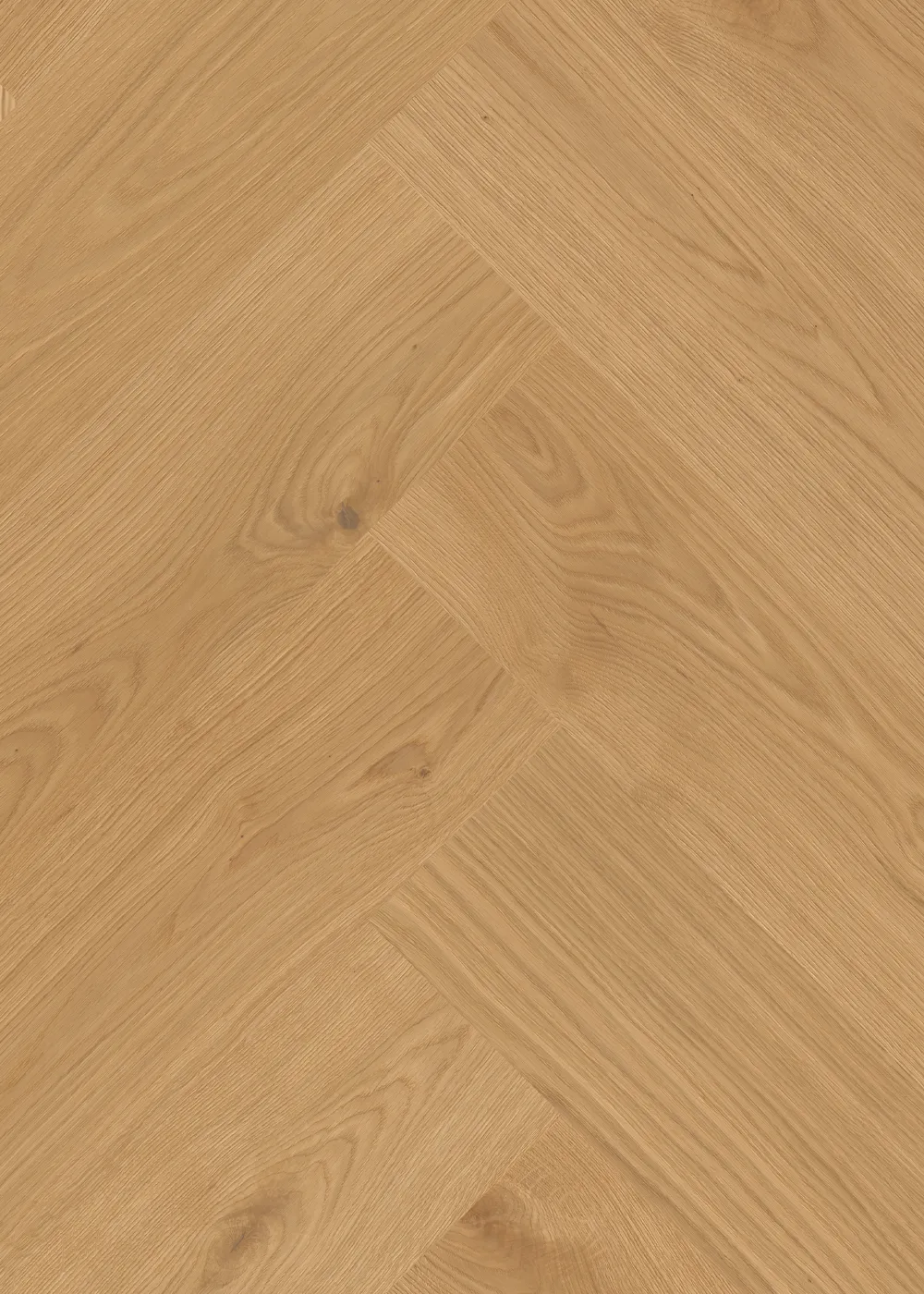 Oak Original - Image 3